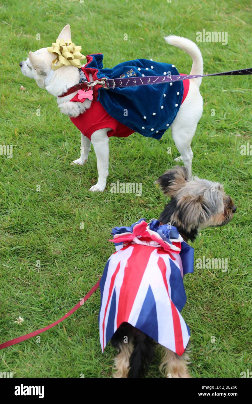 DOGS IN SPECIAL COSTUMES TO MARK THE QUEEN'S PLATINUM JUBILEE AT A DOG