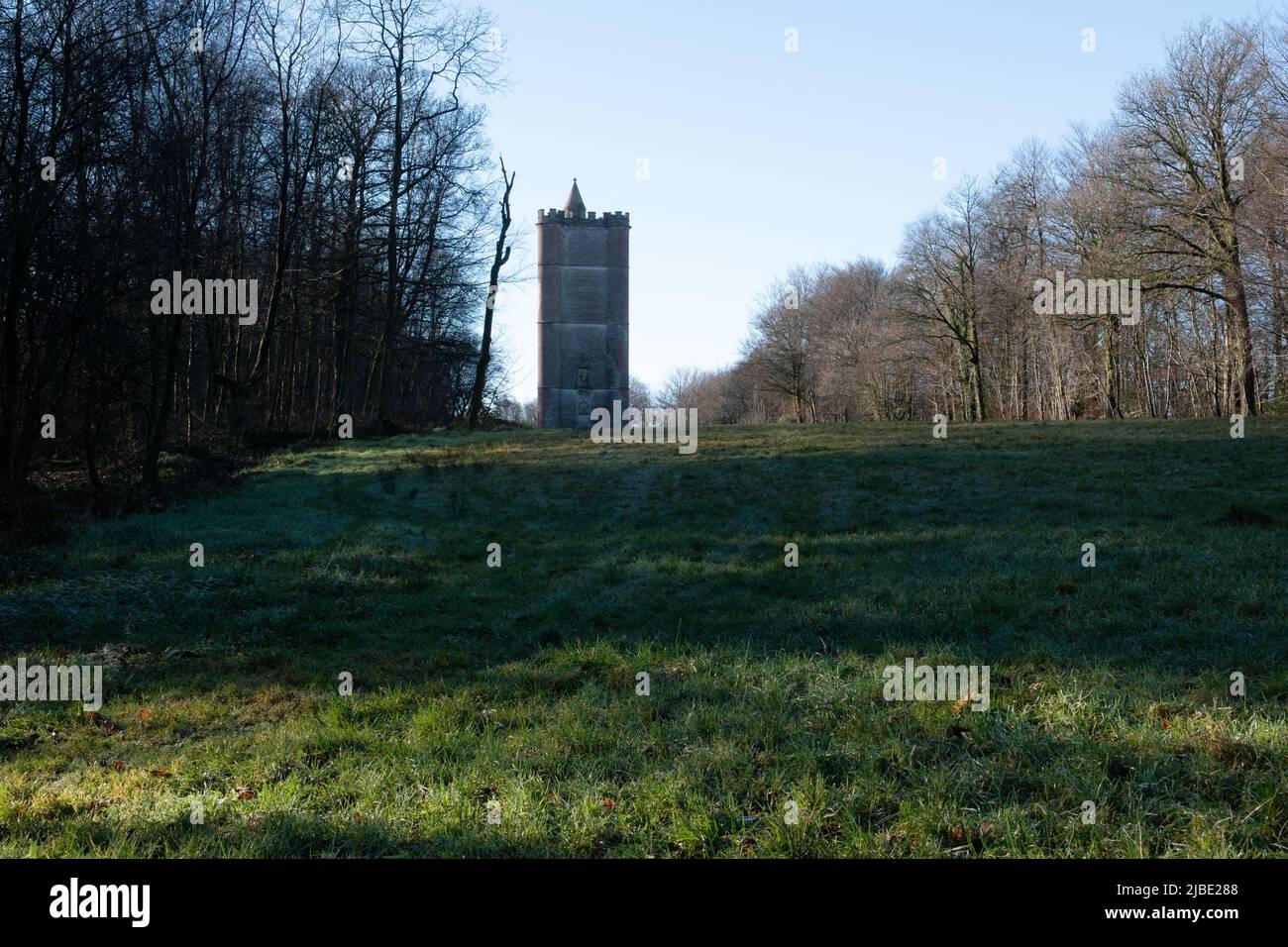 St Alfred's Tower, Bruton, Somerset, England, UK Stock Photo