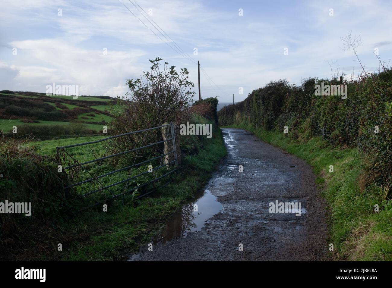 Lane, Zennor, Cornwall, England,UK Stock Photo