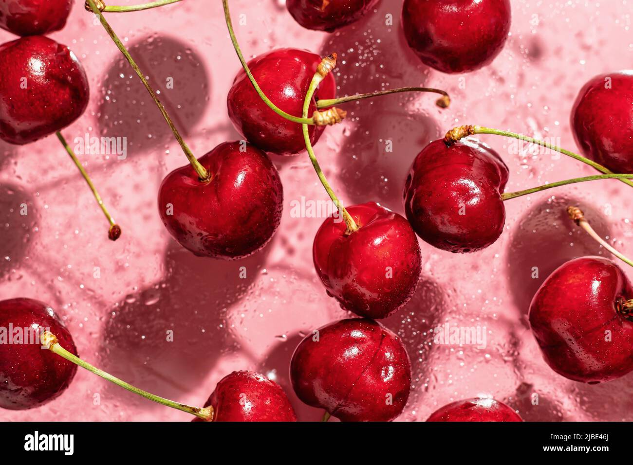 Cherry concept in modern style on pink background with shadows, wallpaper,  top view Stock Photo - Alamy