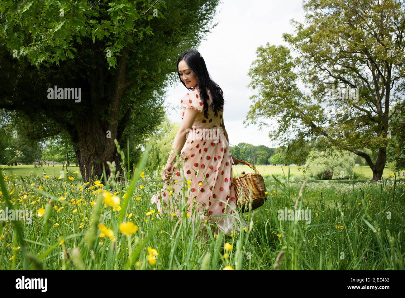 beautiful Asian woman carrying a picnic basket in a field in summer Stock Photo
