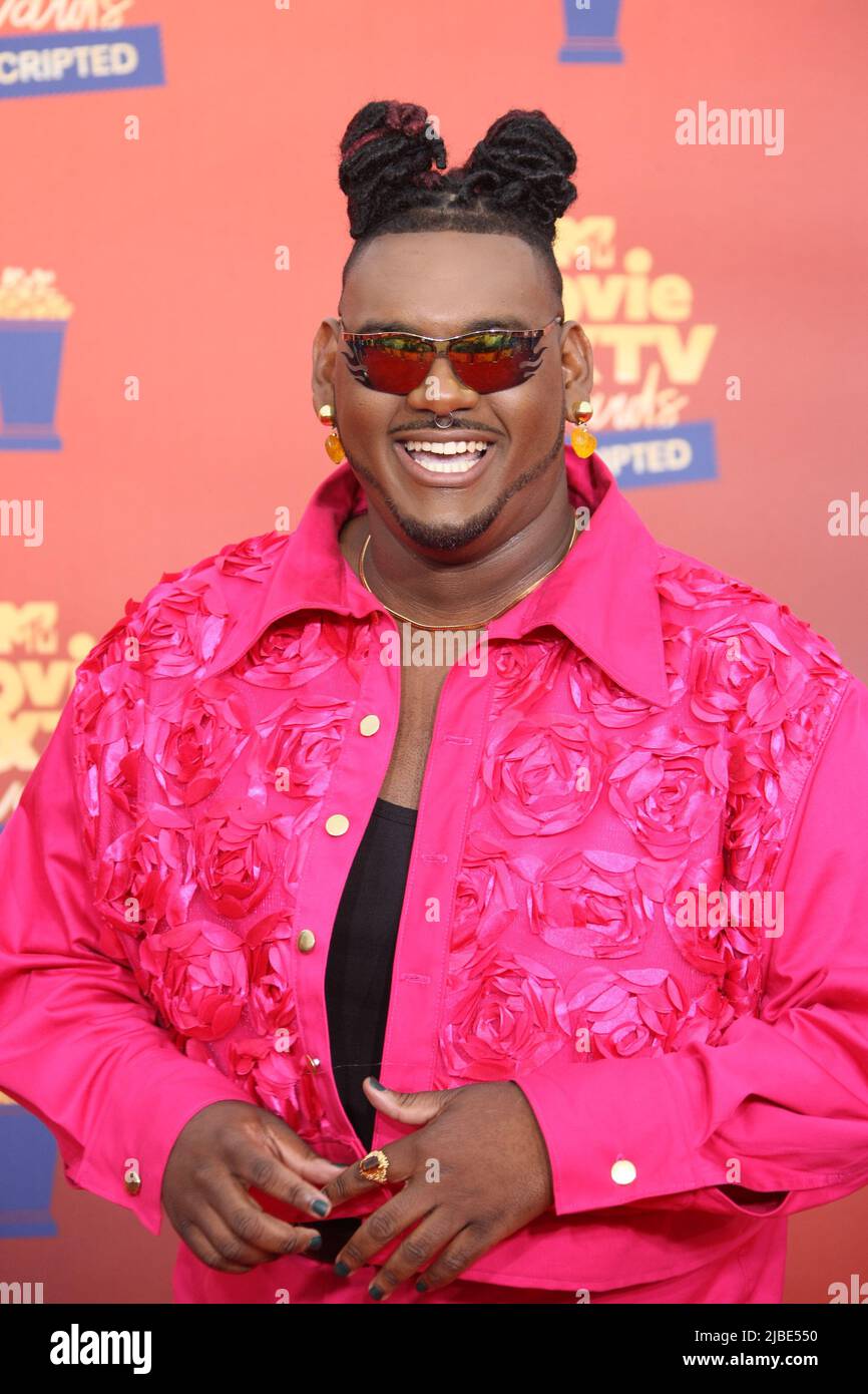 Ryan Mitchell attends the 2022 MTV MOVIE & TV AWARDS UNSCRIPTED at
