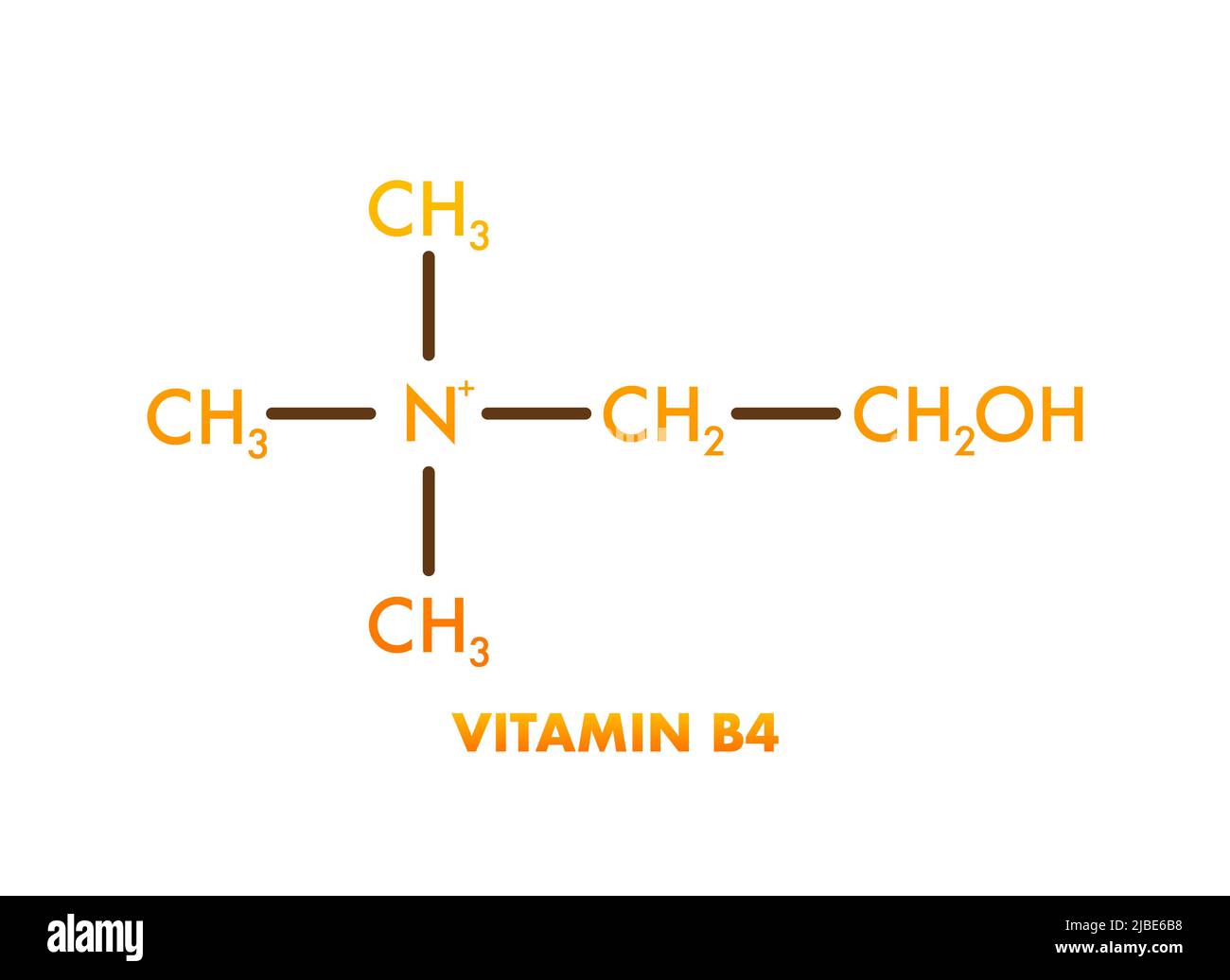 Vitamin B4 Vitamin B4 Icon Structure Vector Illustration Stock Vector Image And Art Alamy