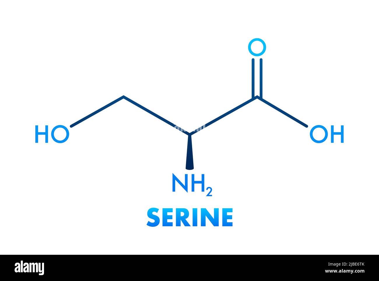 Serine formula. Serine or l-serine, Ser, S, amino acid molecule. Stock Vector