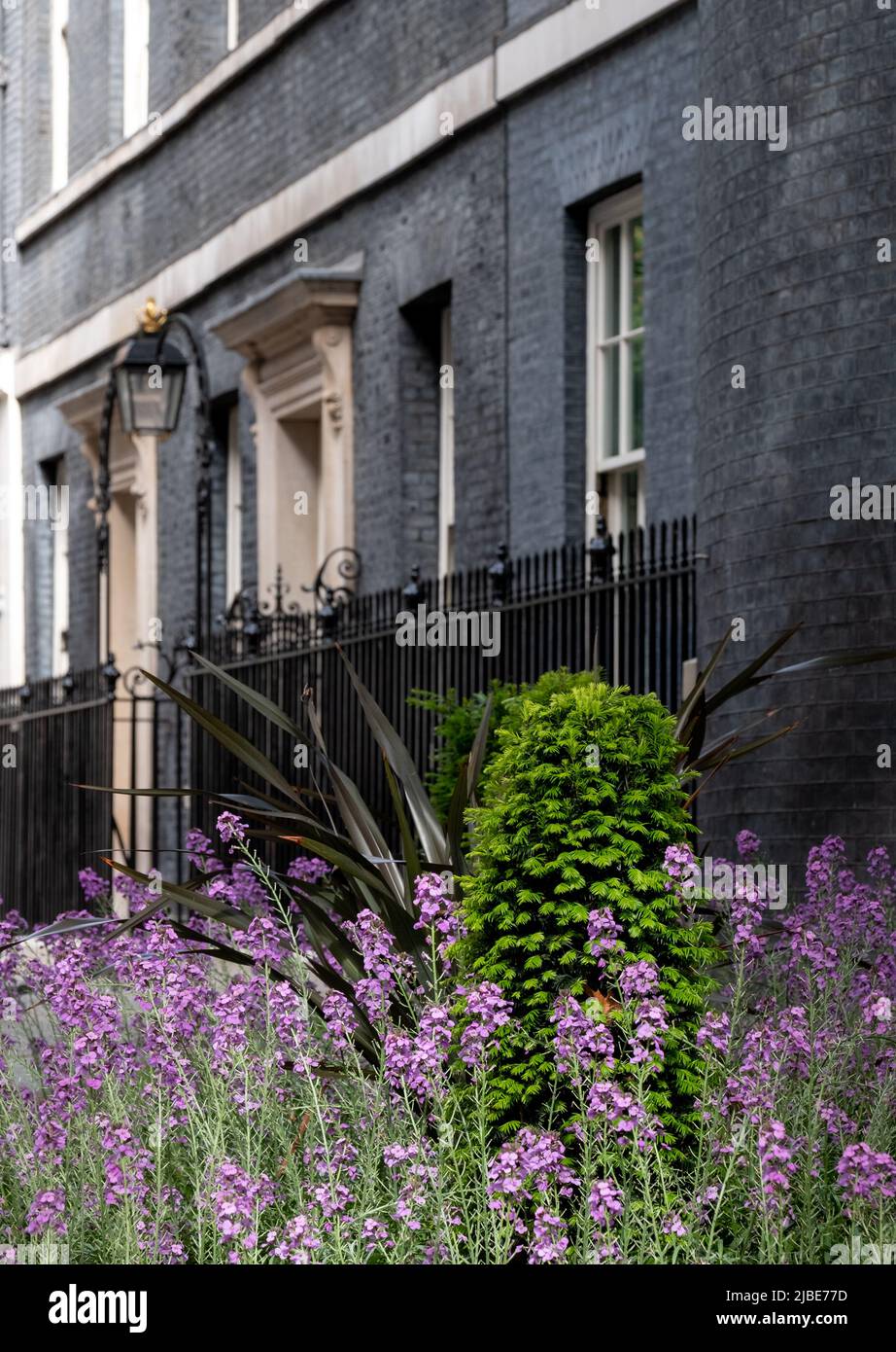 Exterior of 10 Downing Street, Whitehall, official residence and office of the Prime Minister of the UK. The address is known as Number 10. Stock Photo