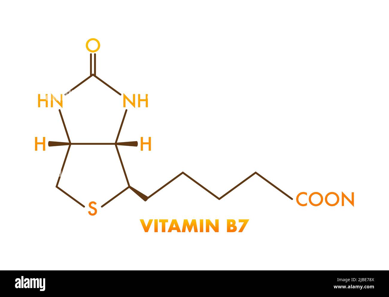 Vitamin b7 formula. Vitamin B7 biotin molecule. Skeletal formula Stock