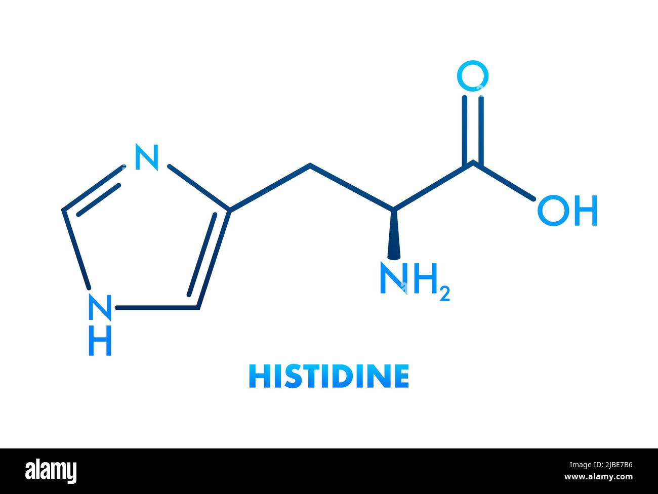 Histidine lhistidine, his, H amino acid molecule. Vector illustration