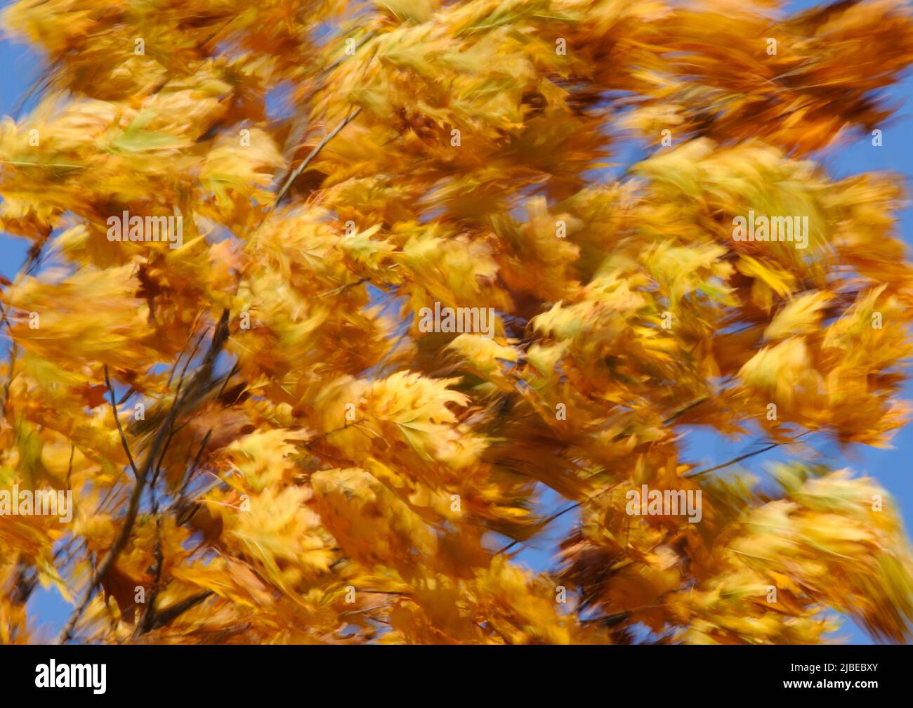 Windy fall hires stock photography and images Alamy