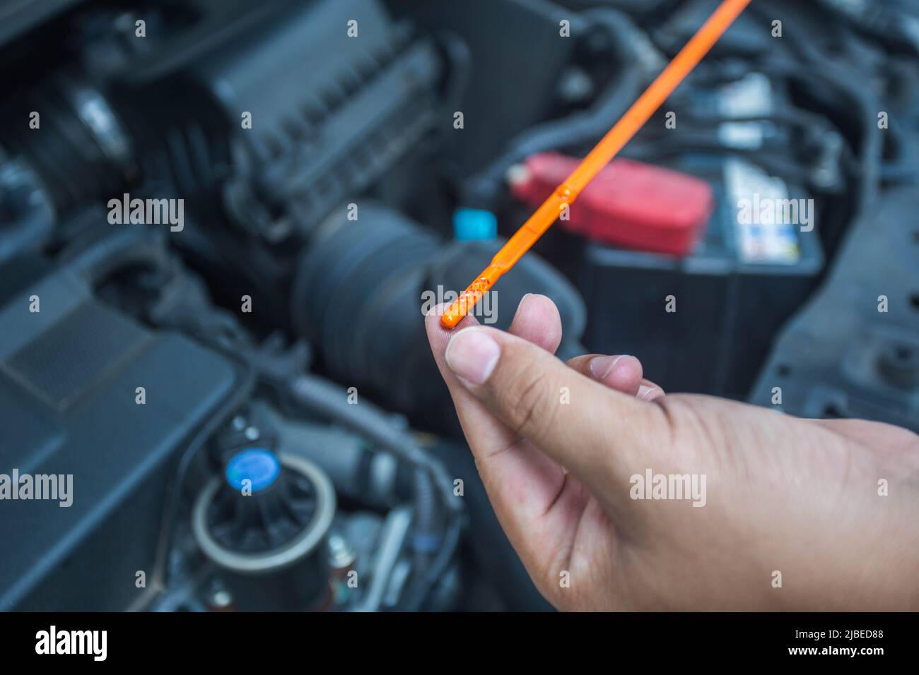 Car mechanic check oil level Stock Photo Alamy