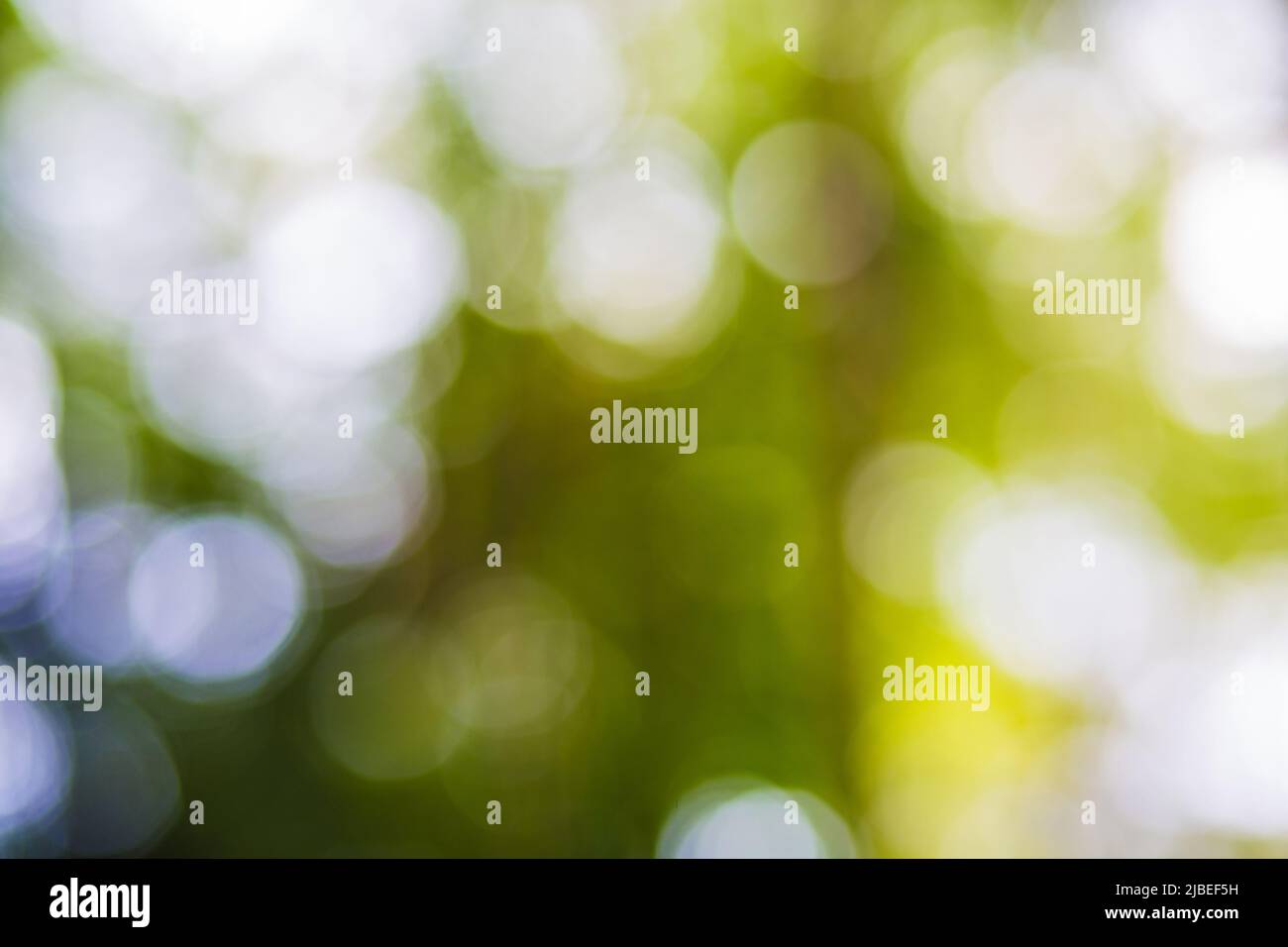 Abstract fresh green circle hi-res stock photography and images - Alamy