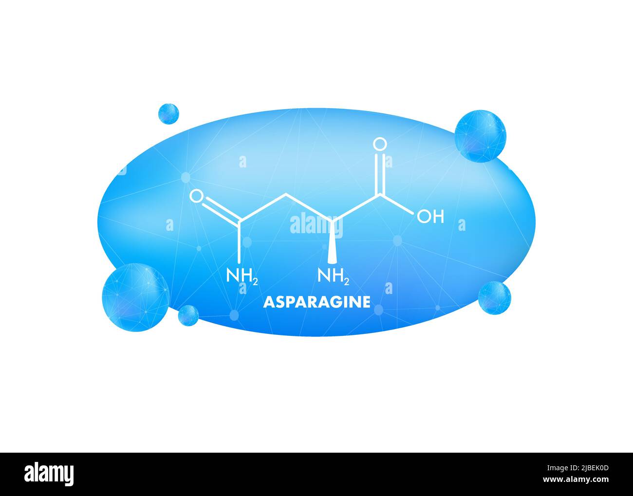 Molecular biology. Asparagine L-asparagine , Asn, N amino acid molecule Stock Vector