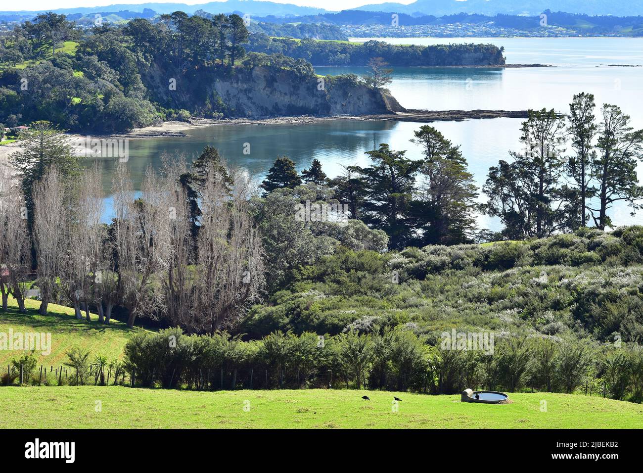 Farmland and cliffs surrounding Scandretts and Goldsworthy bays. Location: Mahurangi East New Zealand Stock Photo