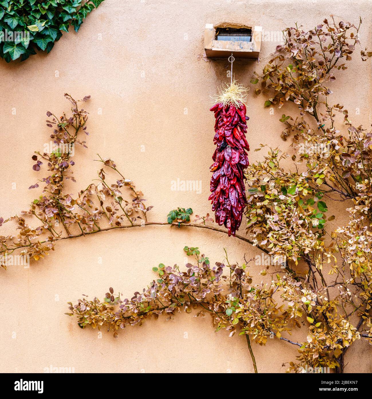 Traditional dried red chili ristra at a house in Santa Fe, New Mexico Stock Photo