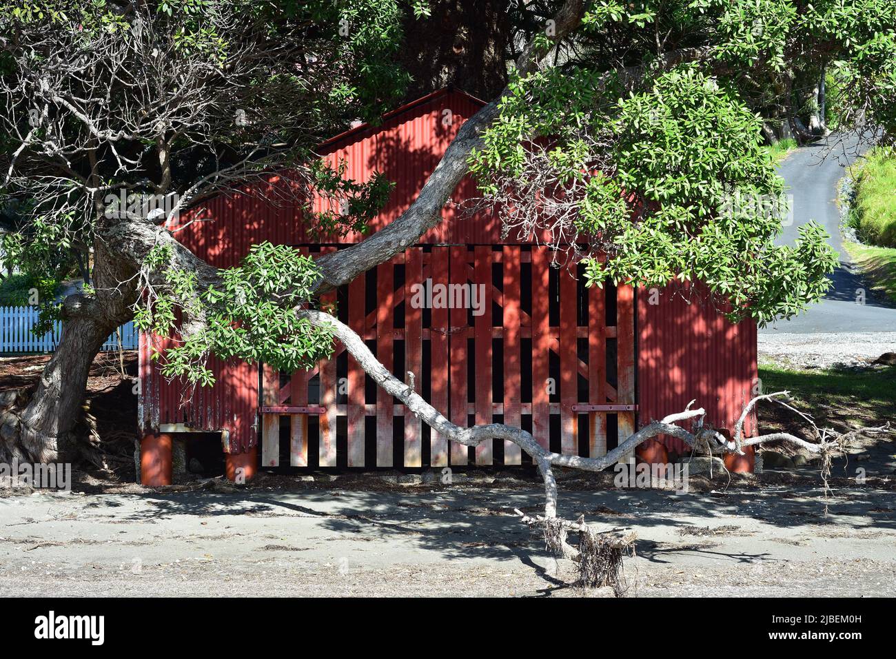 Red boat shed with slate gate and corrugated iron walls on dry beach at low tide. Location: Mahurangi East New Zealand Stock Photo