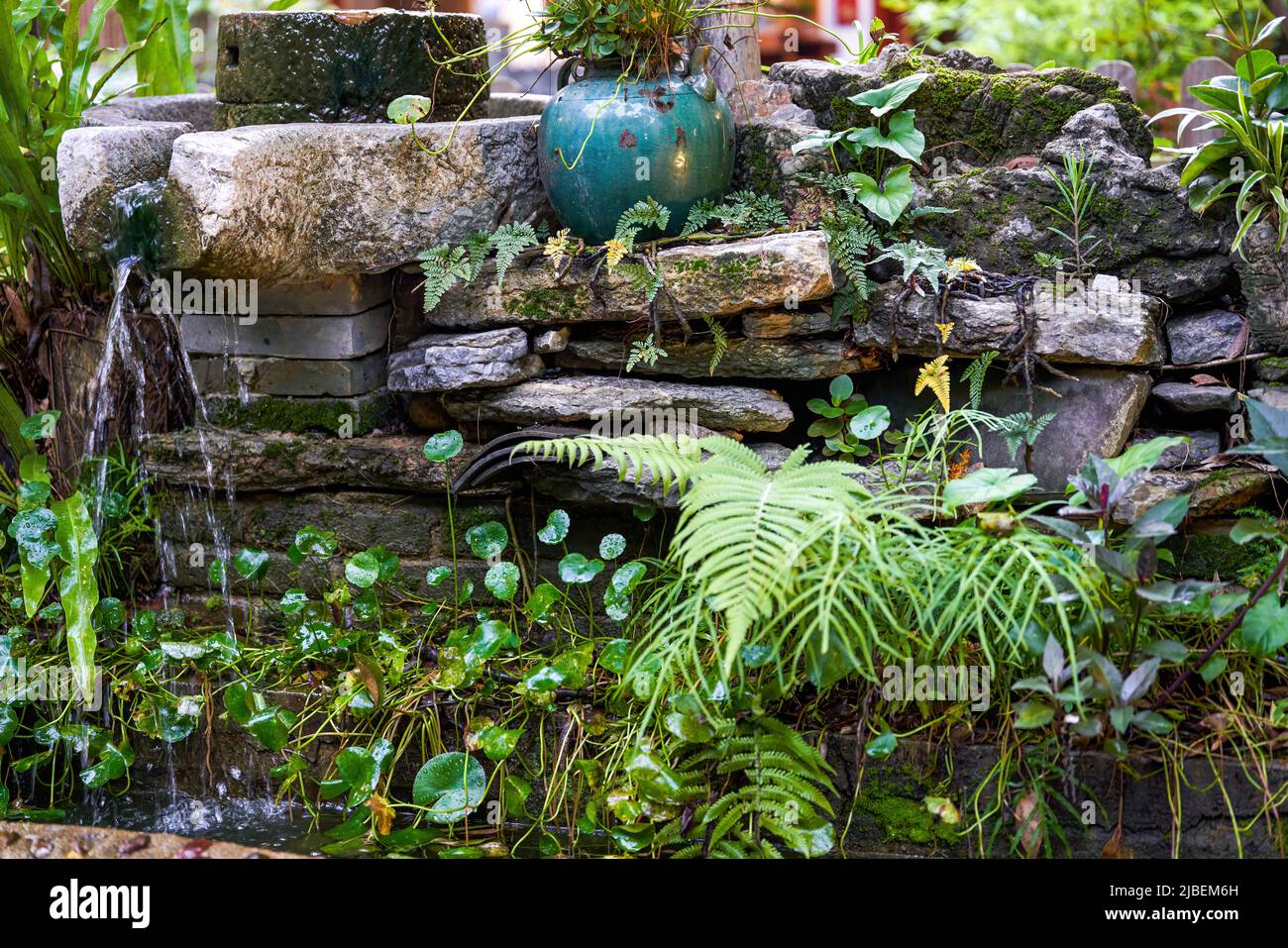 Landscape with rockery pool and plants in a Chinese garden Stock Photo ...