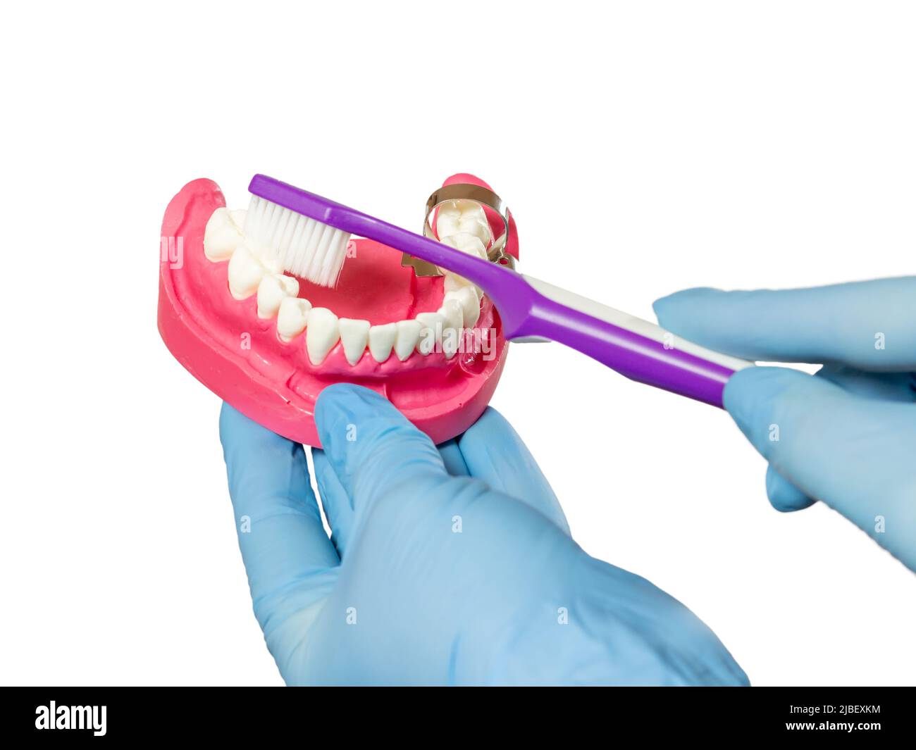 Close-up view of a dentist's hand with a human jaw layout and a ...