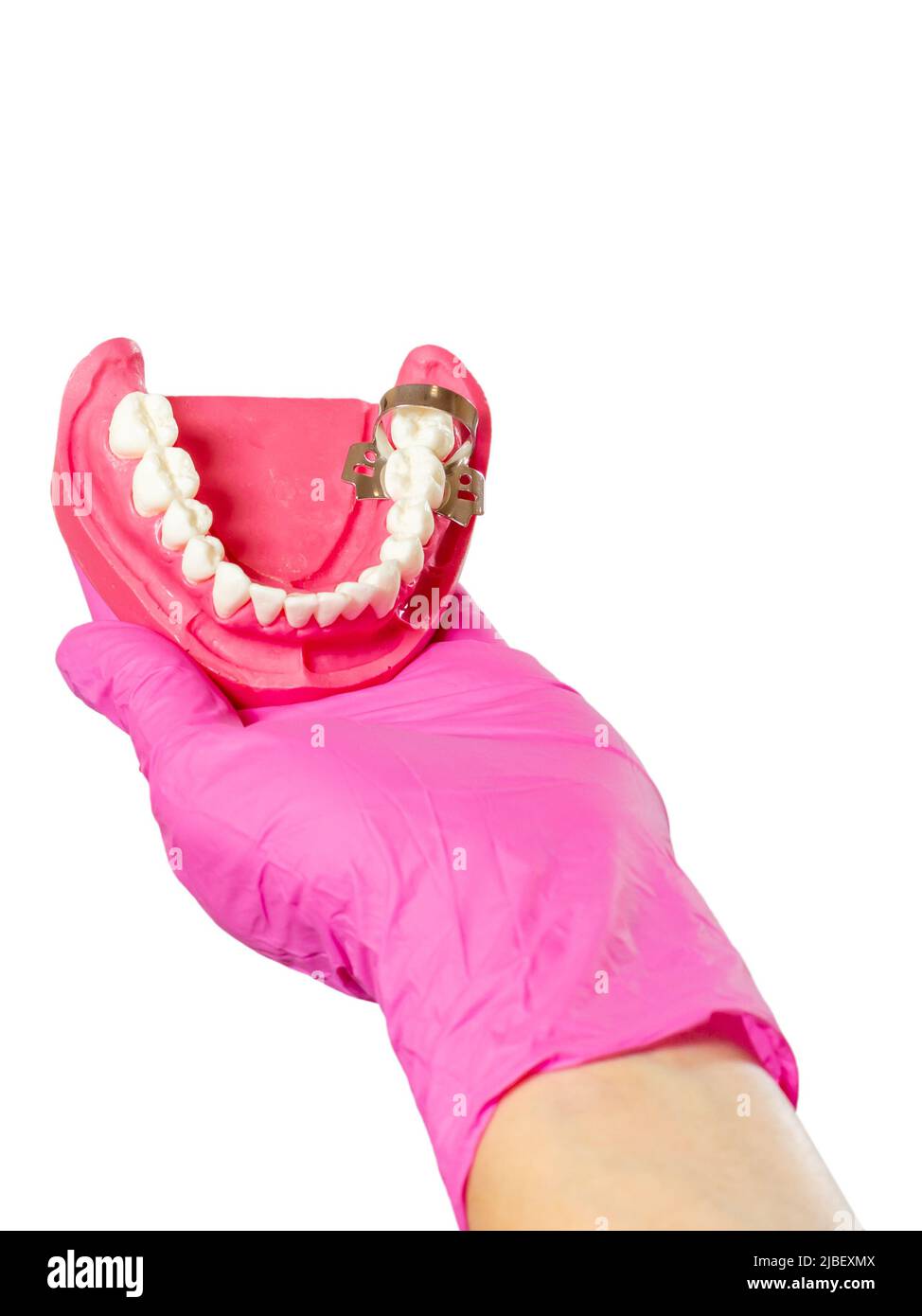 Dentist's hand in a latex glove with the layout of the human jaw on the