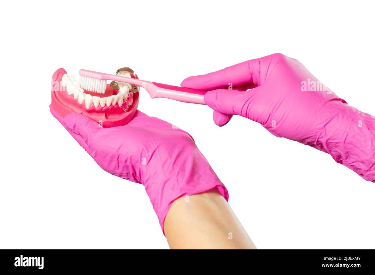 Close-up view of a dentist's hand with a human jaw layout and a ...
