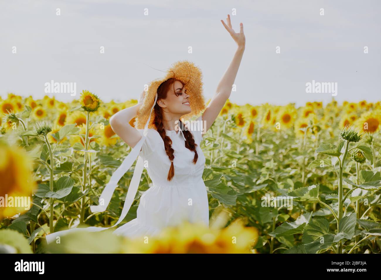 woman portrait In a field with blooming sunflowers unaltered Stock ...