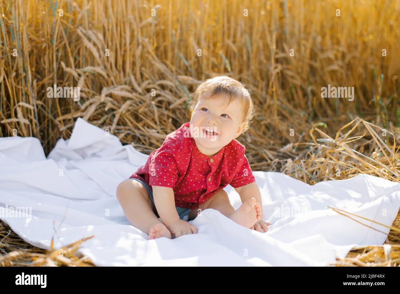 Sweet eightmonthold baby boy sitting on a blanket in a field Stock
