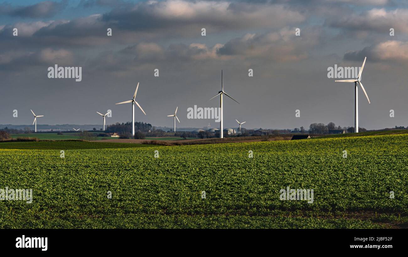 Group of wind turbines in the countryside and hills of the island of Fynn near Assens in Denmark. Assens, Fynn, Denmark, Europe Stock Photo
