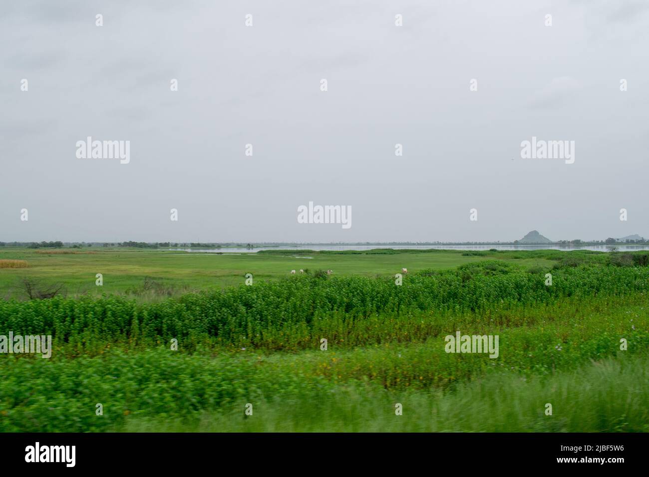 Beautiful countryside view from train hi-res stock photography and ...