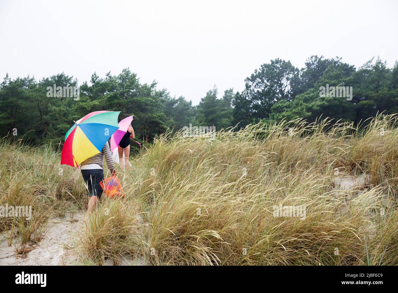 Family walking on sand dunes Stock Photo Alamy