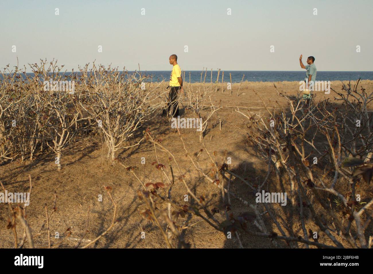 Men are photographed on coastal landscape, as they are standing on dry grassland in a background of Londa Lima beach in Kanatang, East Sumba, East Nusa Tenggara, Indonesia. Stock Photo