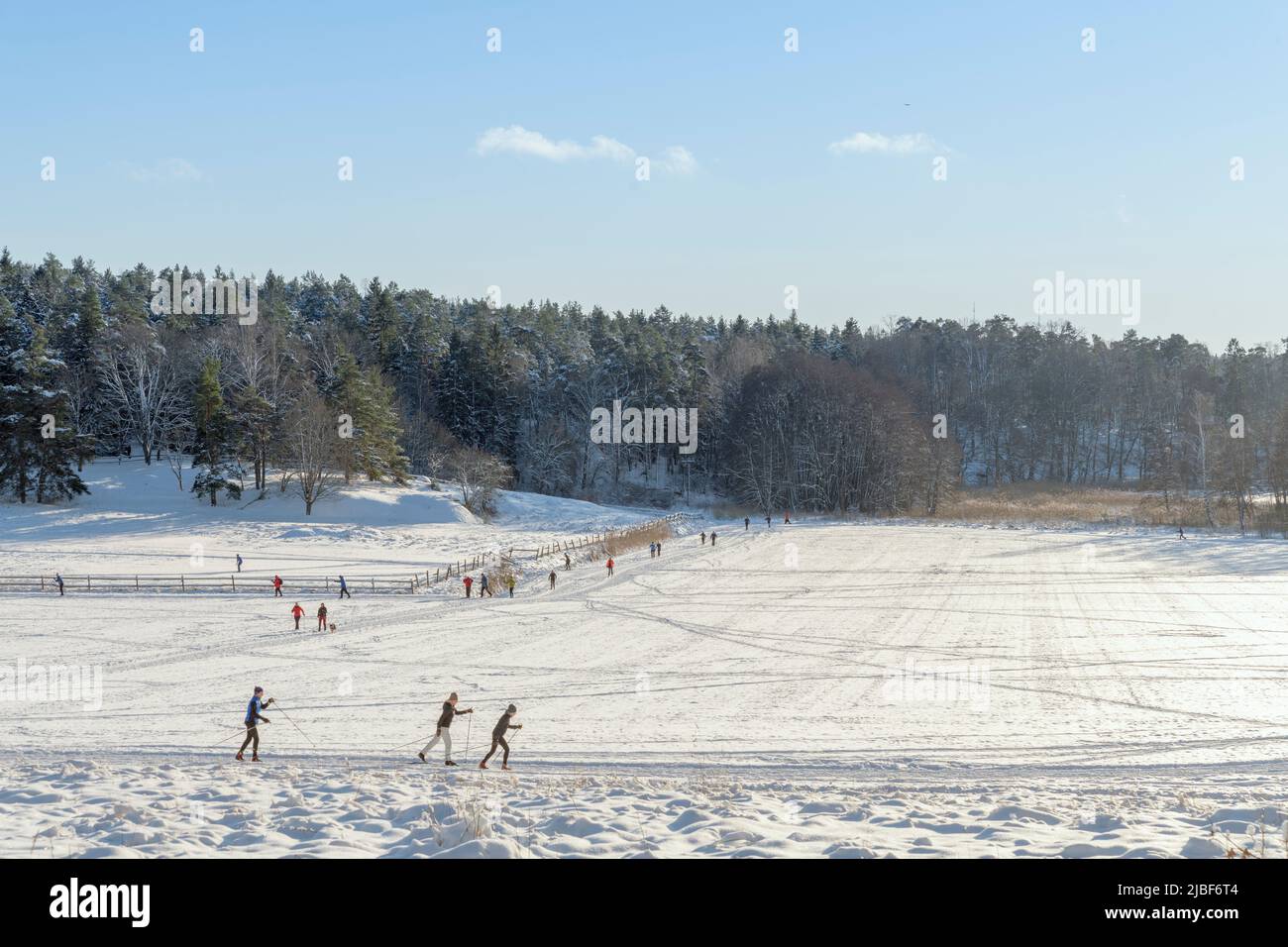 People skiing in field Stock Photo