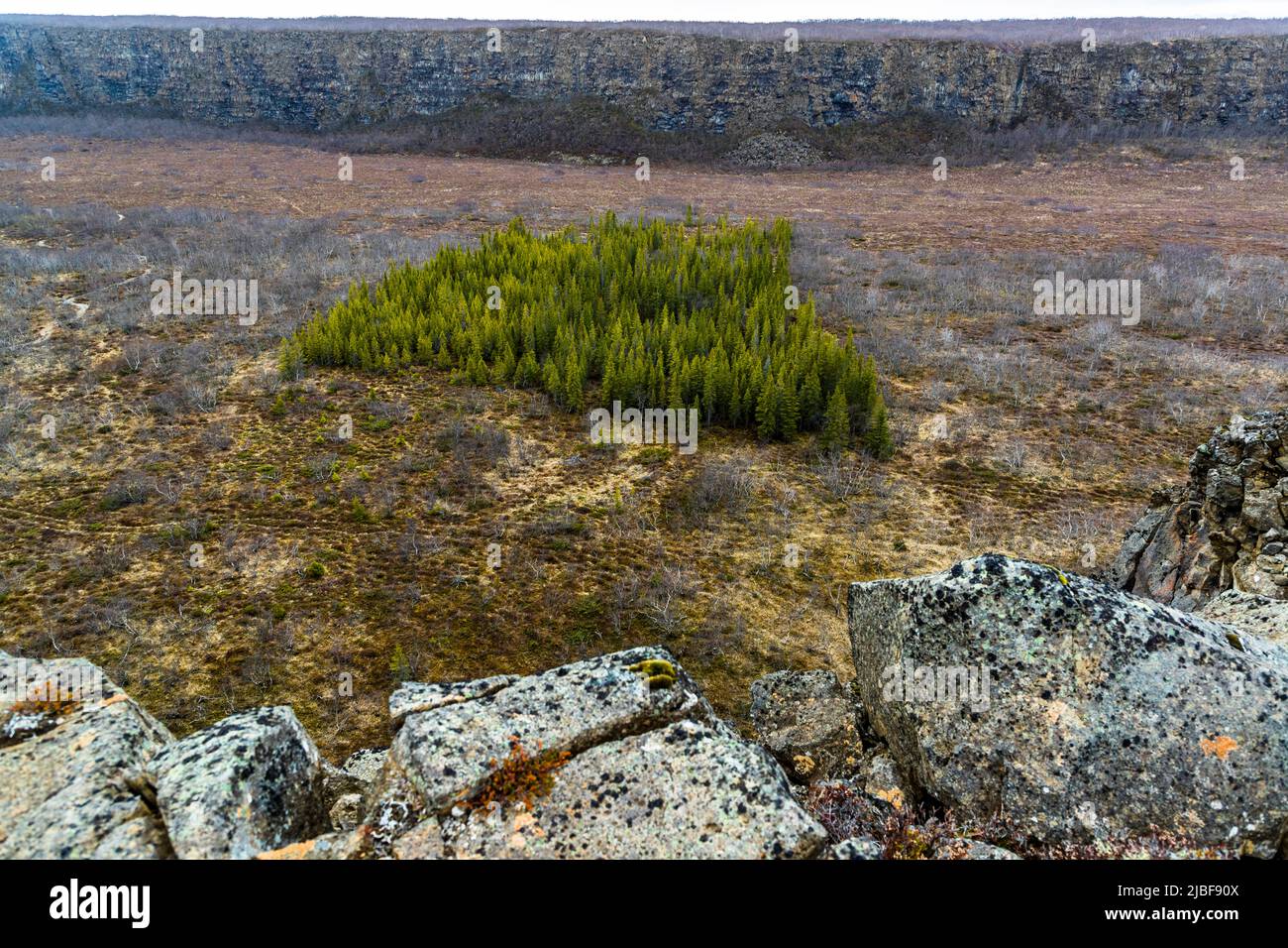 Ásbyrgi is a well-forested horse-shoe-shaped canyon in Öxarfjörður and part of Jökulsárgljúfur canyon, within the Vatnajökull National Park in Iceland Stock Photo