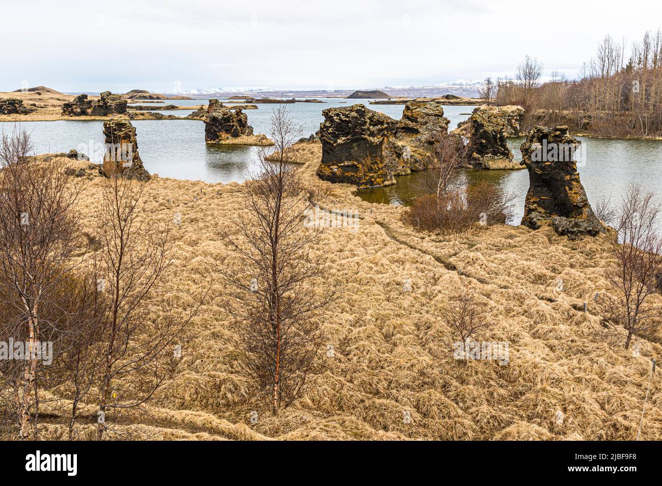 Rock formations (Guð fingur) in the Skutustadhir area of Lake Myvatn, Iceland Stock Photo