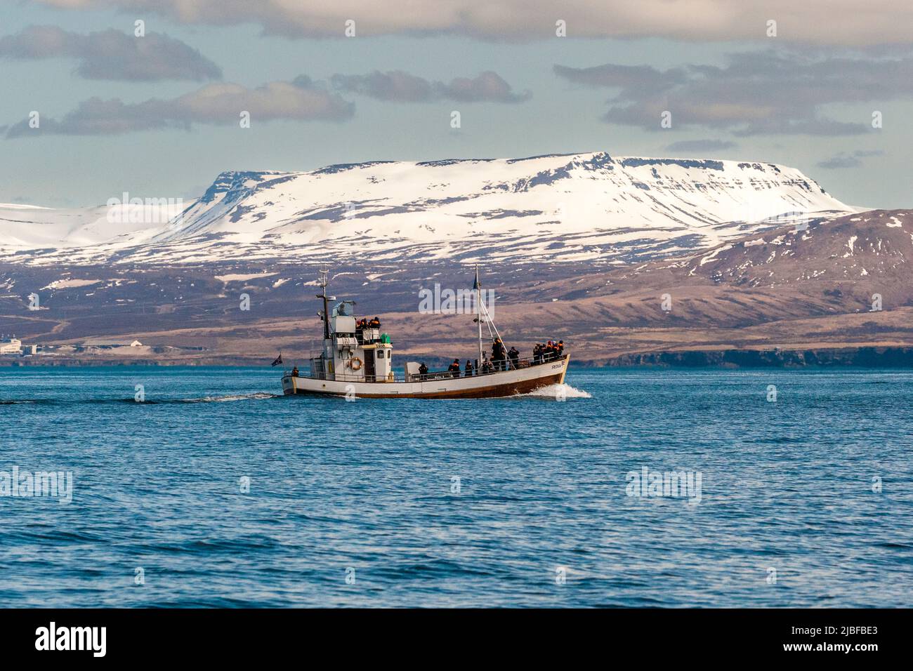 From Húsavík (Iceland) numerous boats depart for whale watching Stock Photo