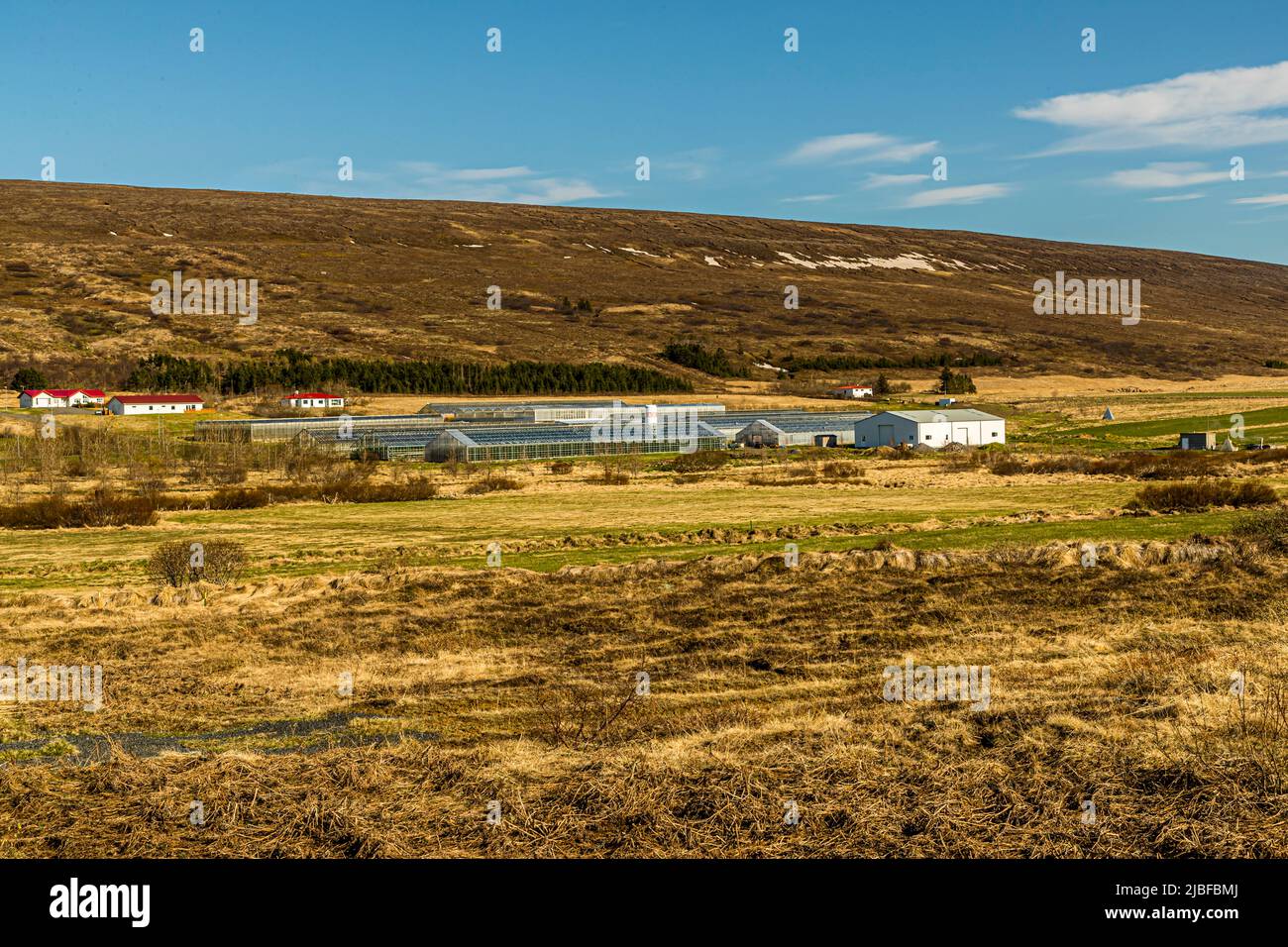 In Iceland, geothermal energy is often used in greenhouses Stock Photo