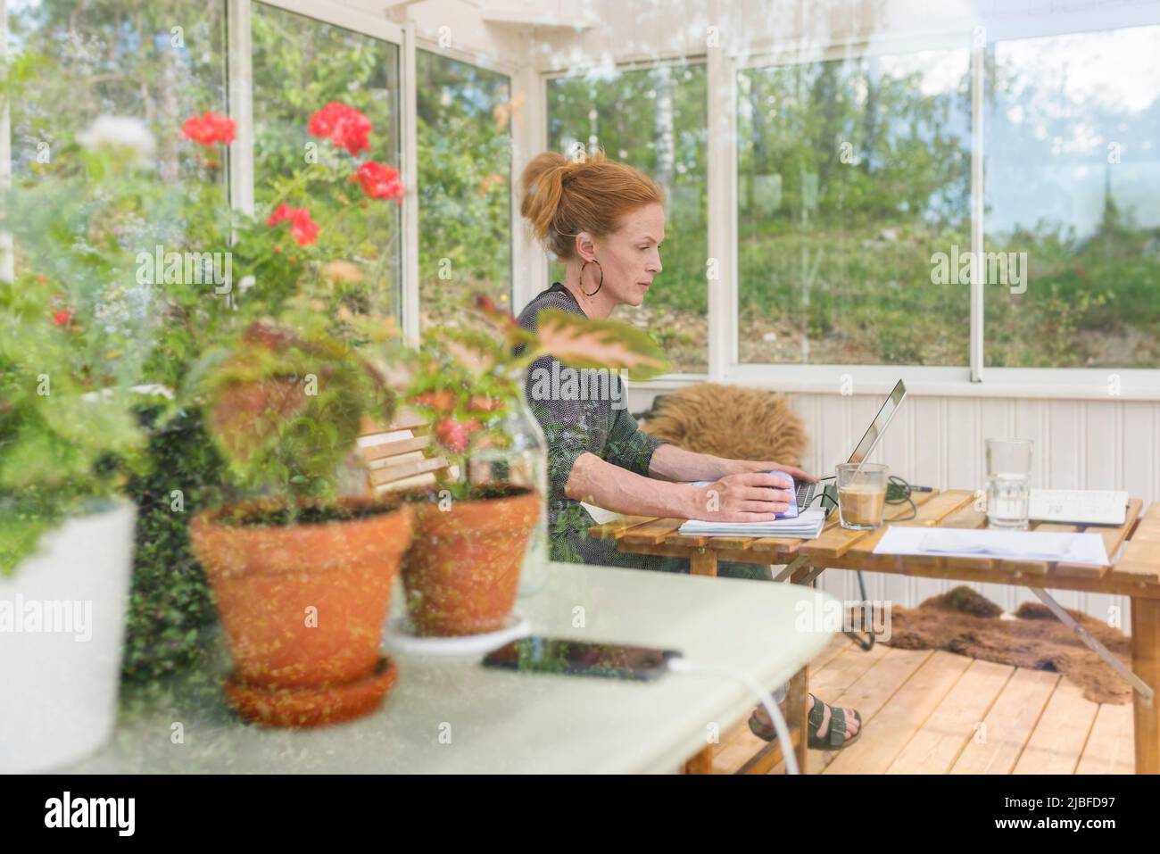 Woman Working From Home In Sunroom Stock Photo Alamy