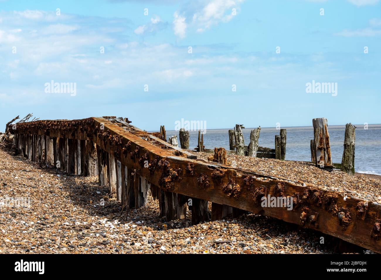 Historic wooden groynes Bawdsey Ferry Suffolk England Stock Photo