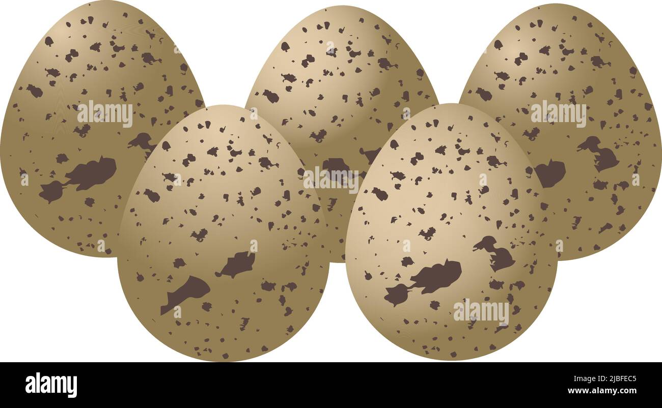 Quail egg is brown with spots. Five eggs on a transparent background