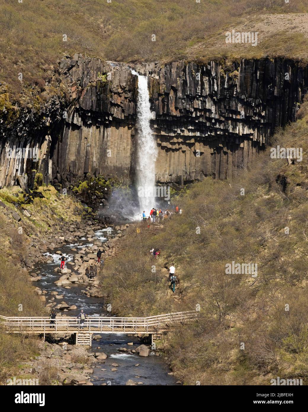 Svartifoss waterfall Iceland Stock Photo