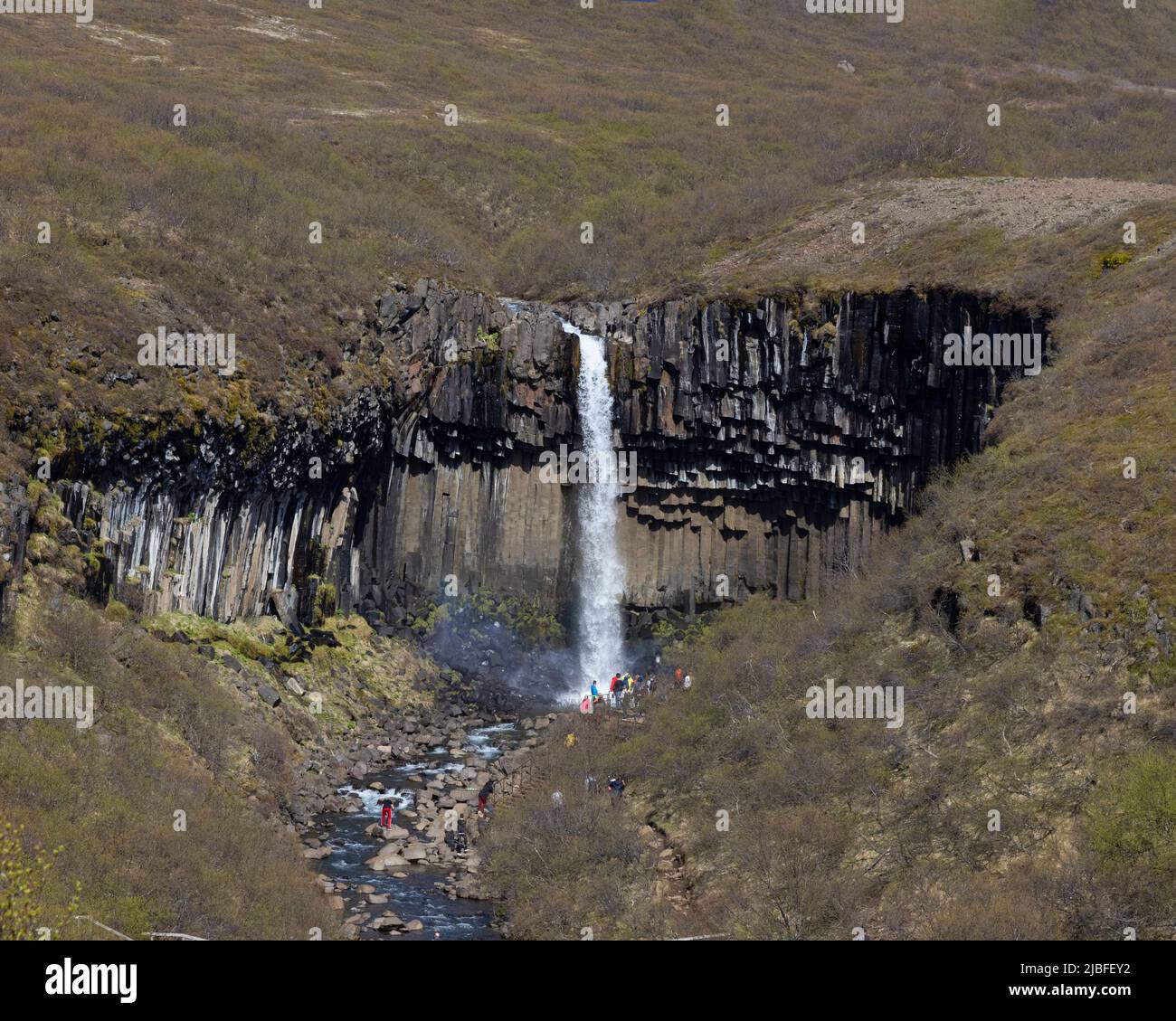 Svartifoss waterfall Iceland Stock Photo