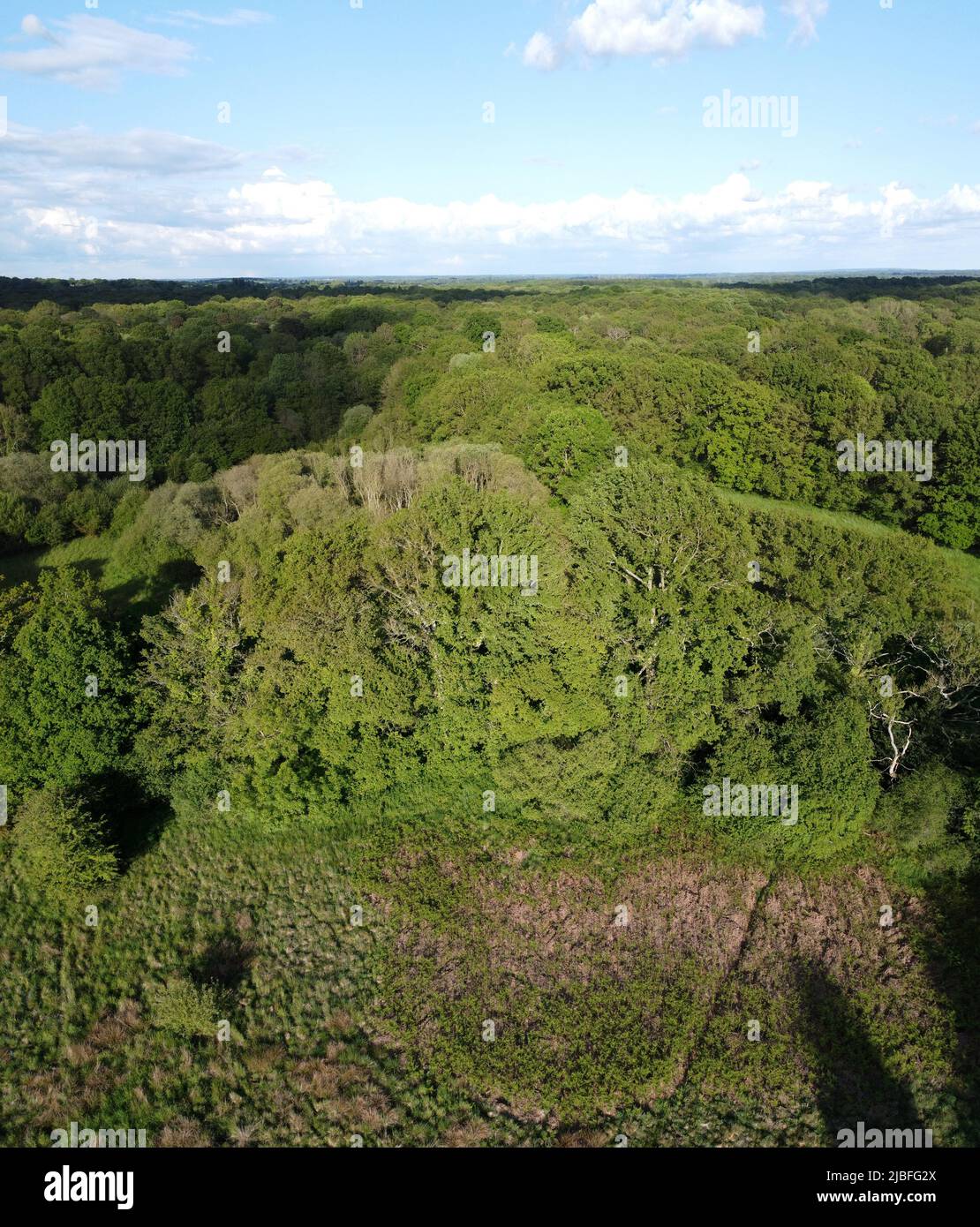 Pamber - Forest and field system Stock Photo