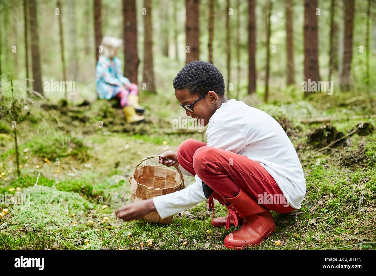 Boy with basket collecting mushrooms in forest Stock Photo Alamy