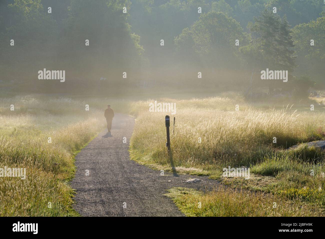 Man walking on path under fog Stock Photo