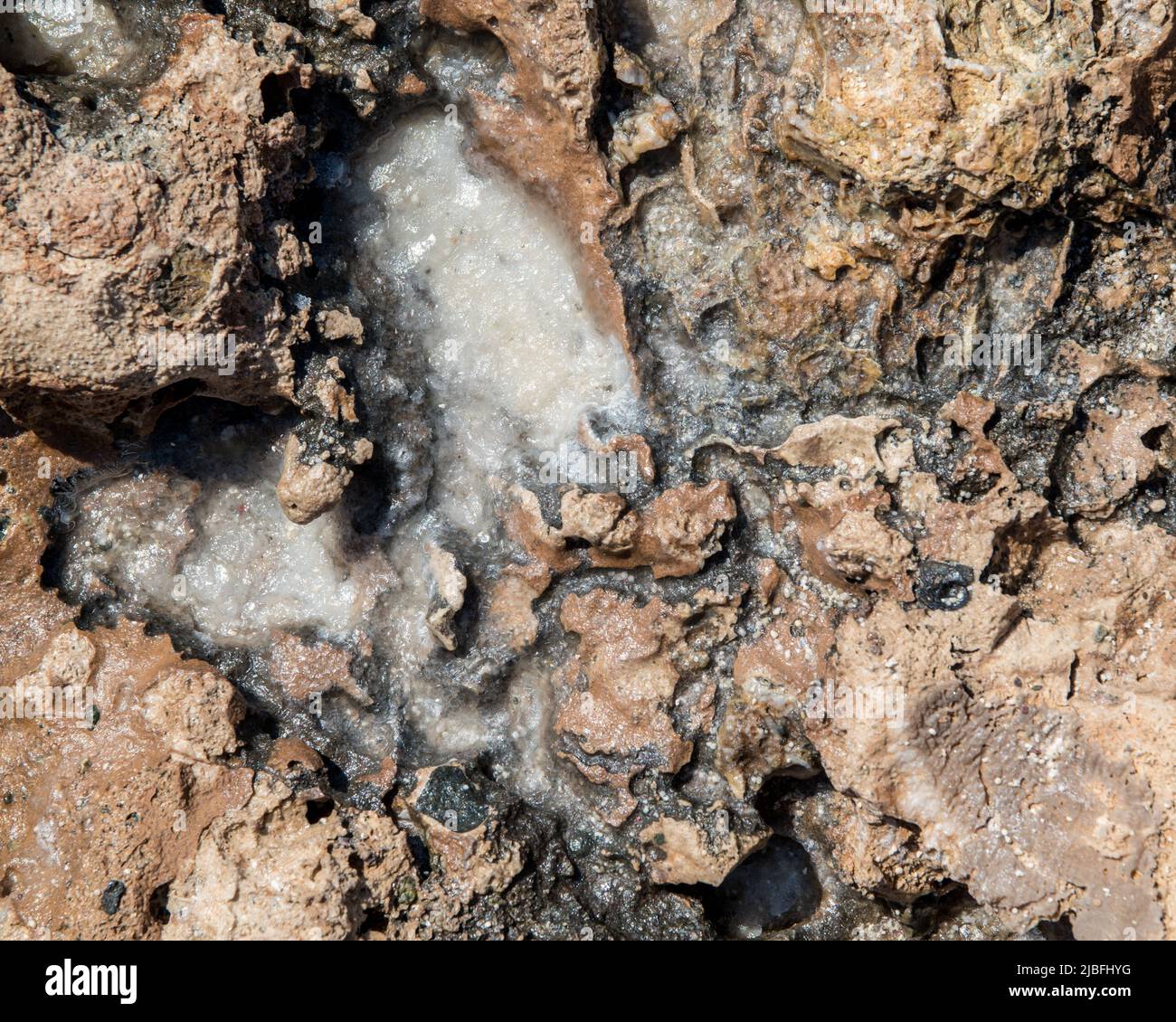Crystalized salt on the rocks on the beach close up. Chrissi island, Crete, Greece Stock Photo