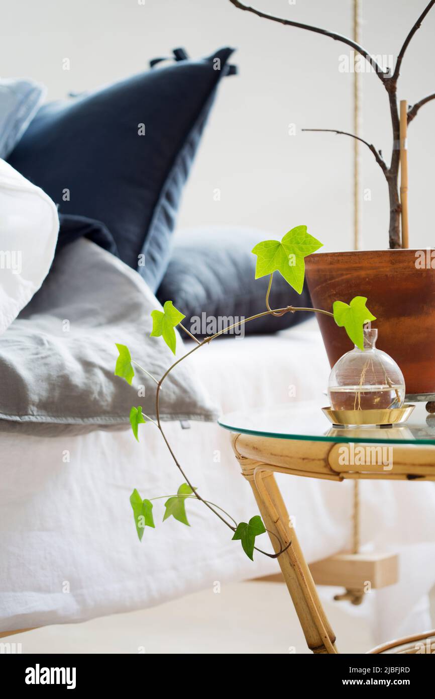 Plant on bedside table by bed Stock Photo - Alamy