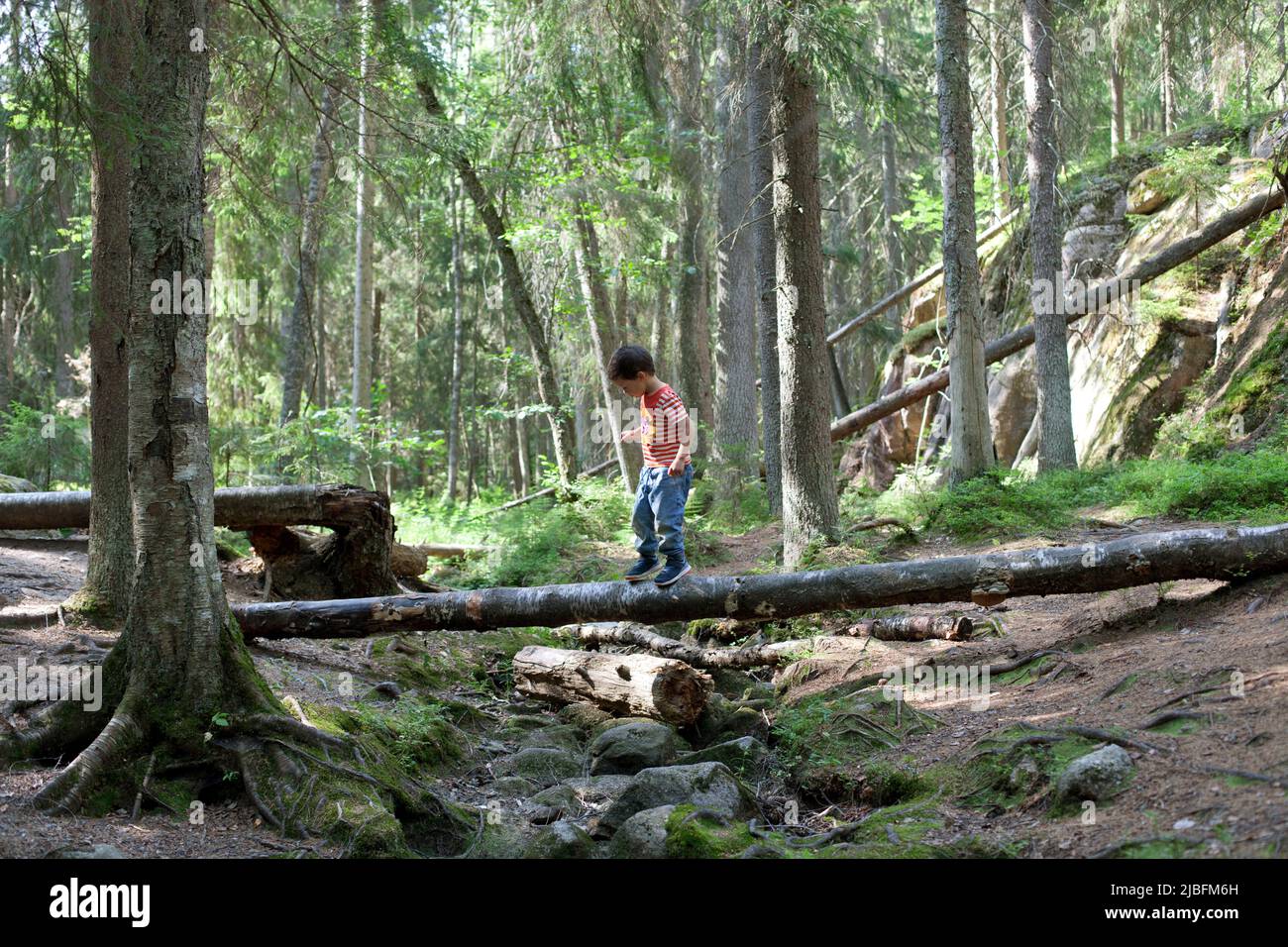 Boy walking on fallen tree in forest Stock Photo