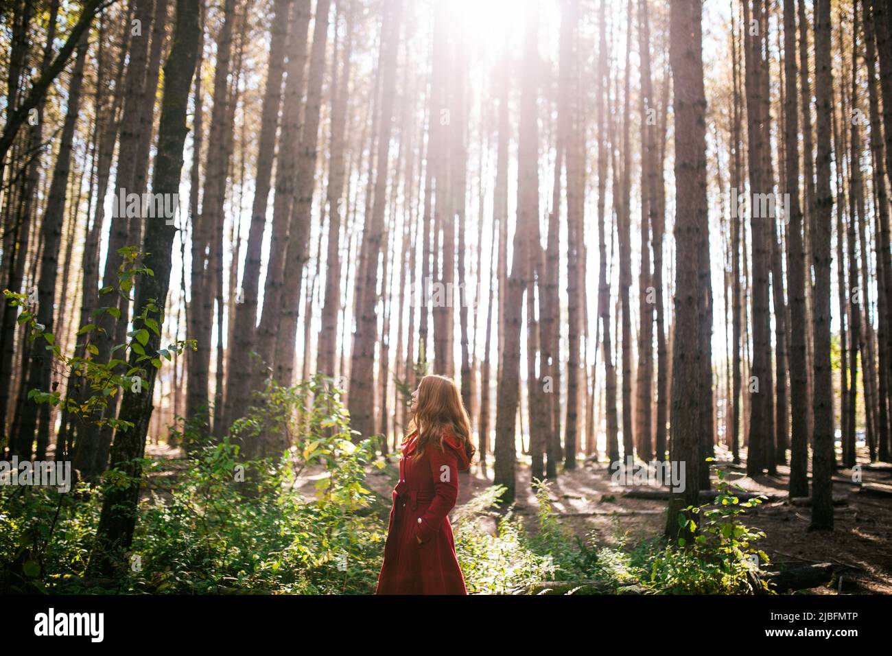 Side view of young redhead female with outerwear standing looking away on woods in fall Stock Photo