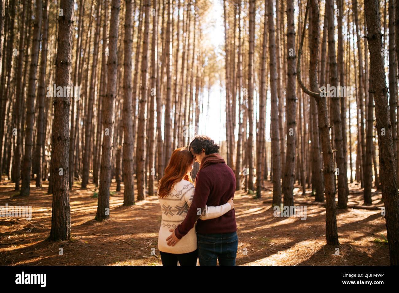 Back view of young unrecognizable couple standing embracing each other in autumn forest in national park in canada Stock Photo