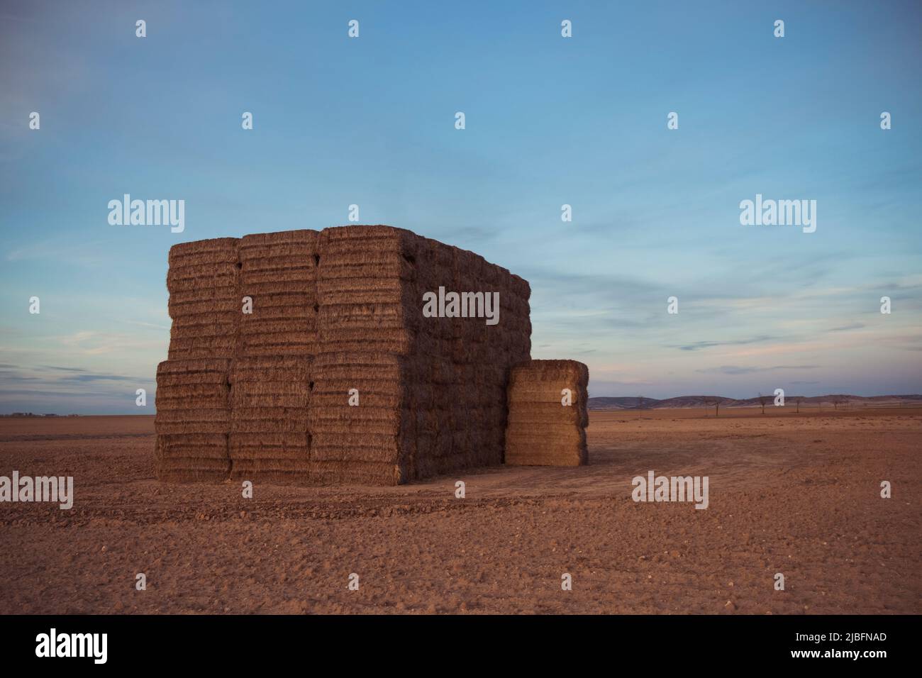 Rural landscape with dry hay rolls stacked in field in summer day in ...