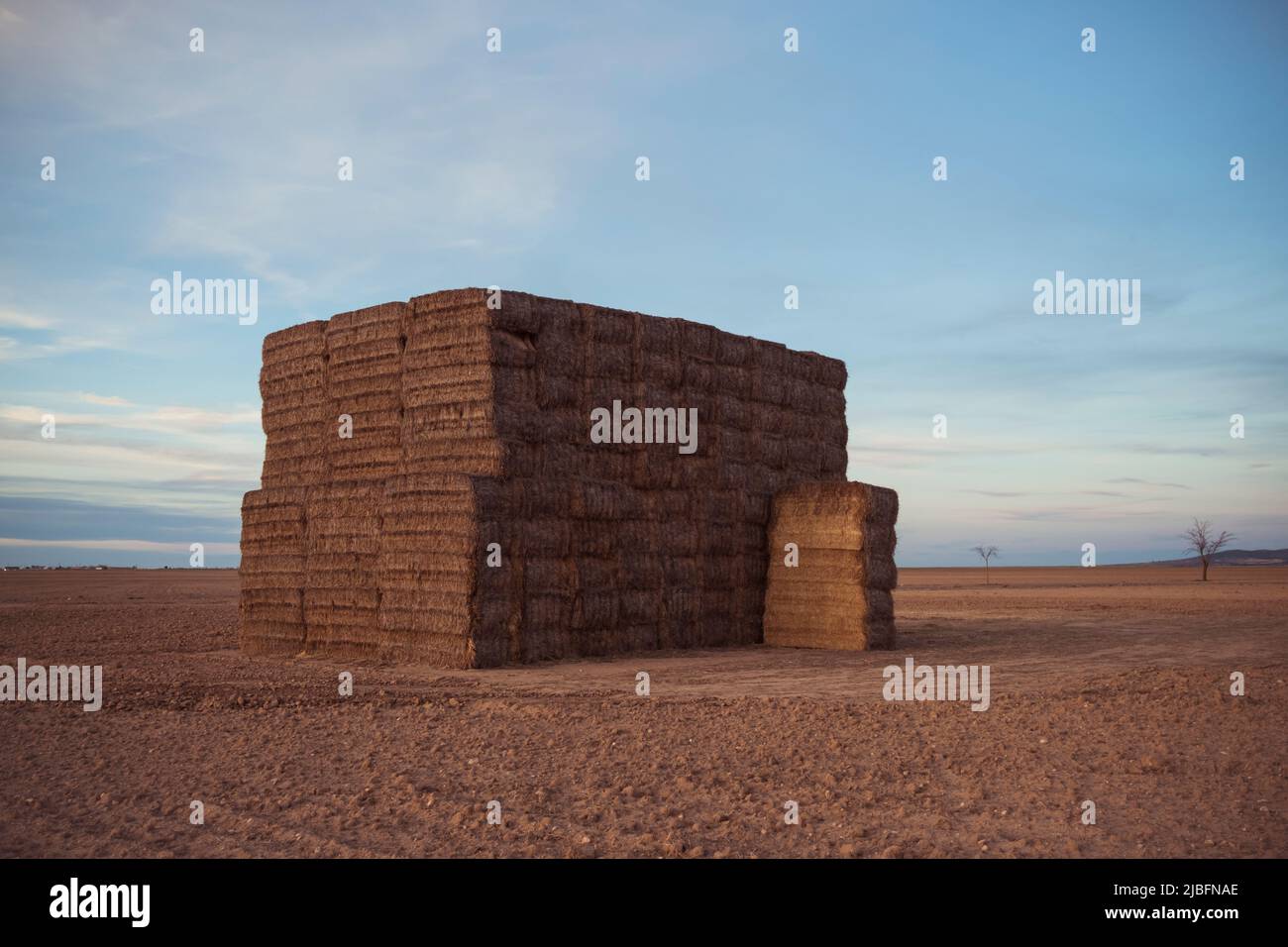 Rural landscape with dry hay rolls stacked in field in summer day in ...