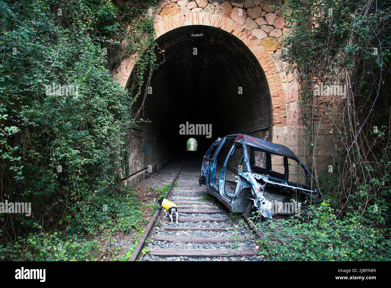 Abandoned rail tunnel hi-res stock photography and images - Alamy