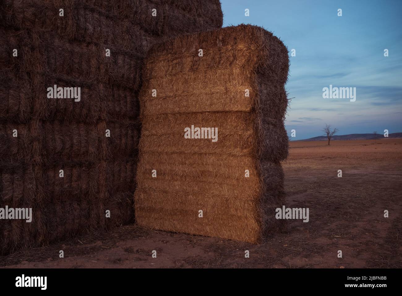Rural landscape with dry hay rolls stacked in field in summer day in ...